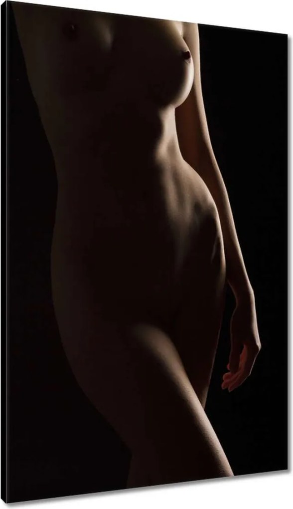 Vászonkép 60x90 Természetes szépség Érzéki éjszakai tekintet