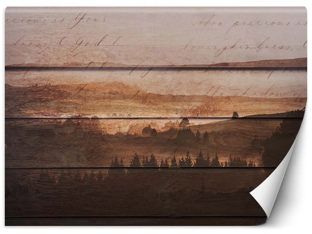 Gario Fotótapéta Erdő vintage táblákon Anyag: Vlies, Méret: 100 x 70 cm