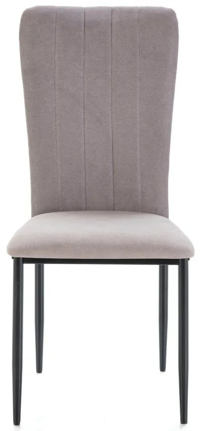 Világosszürke étkezőszék szett 4 db-os Holly – Marckeric