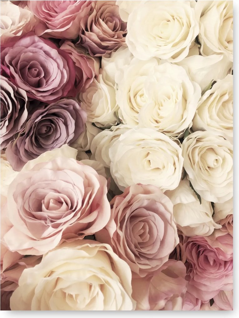 Rózsa Virágok poszter A1 59,4x84,1 cm #104
