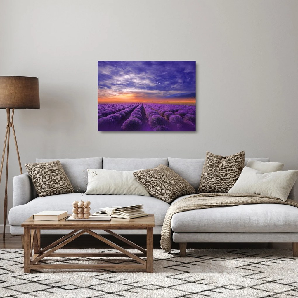 Egy levendula mező képe (üvegen) (70x50 cm)