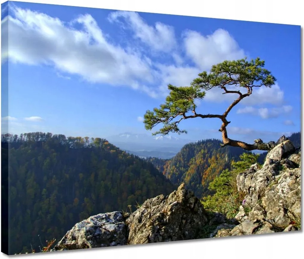 Vászonkép 40x30 Tájképek Kilátások Tájképek