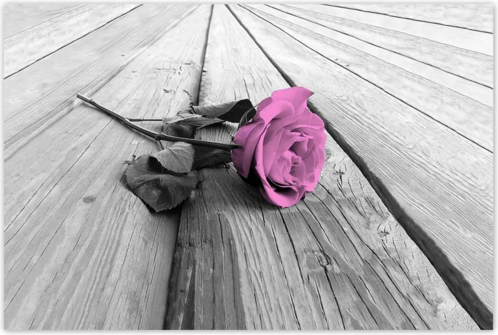 Poszterek 120x80 Régi rózsa Rózsa a deszkákon