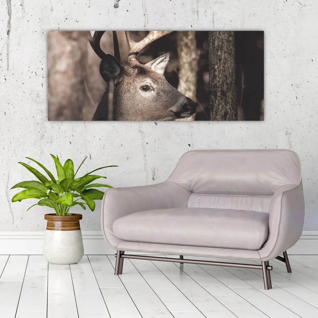 Kép - Szarvas az erdőben (120x50 cm)