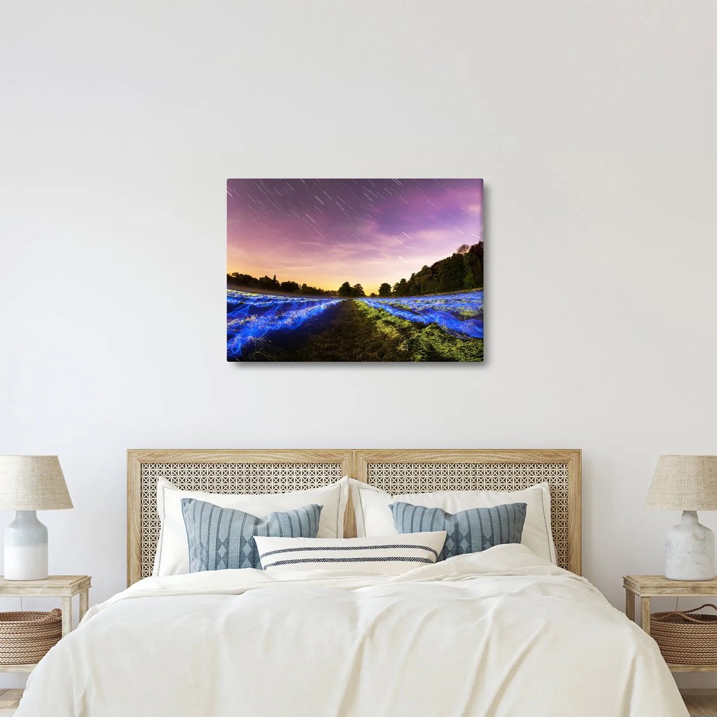 Színes mező képe (70x50 cm)
