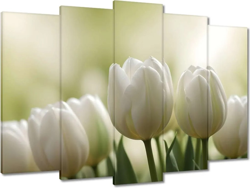 Vászonkép 70x50 Fehér tulipánok
