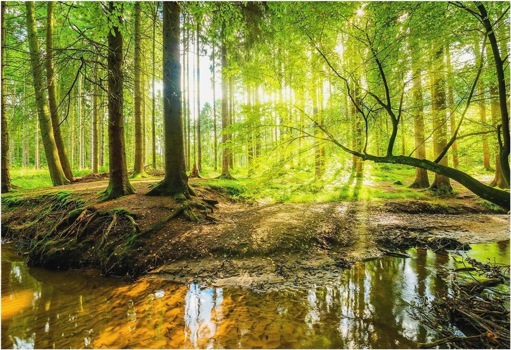 Stílusos Dekoratív Fotótapéta Flizelin Zöld táj 152x104 Ragasztó