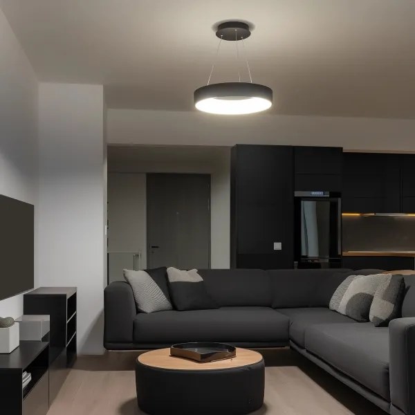 Brilagi - LED Dimmelhető csillár zsinóron LED/40W/230V 3000-6500K fekete + távirányító