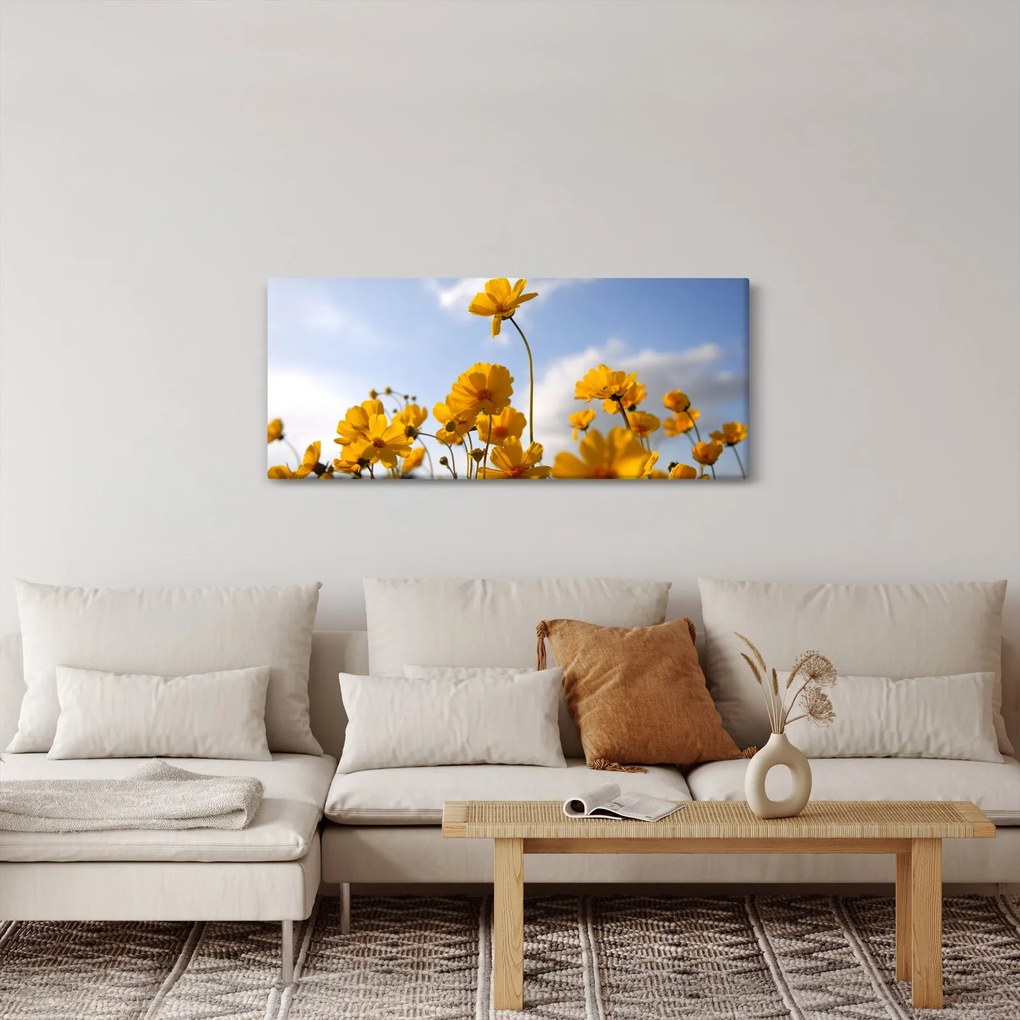 Fényes sárga virágokkal rendelkező mező képe (120x50 cm)