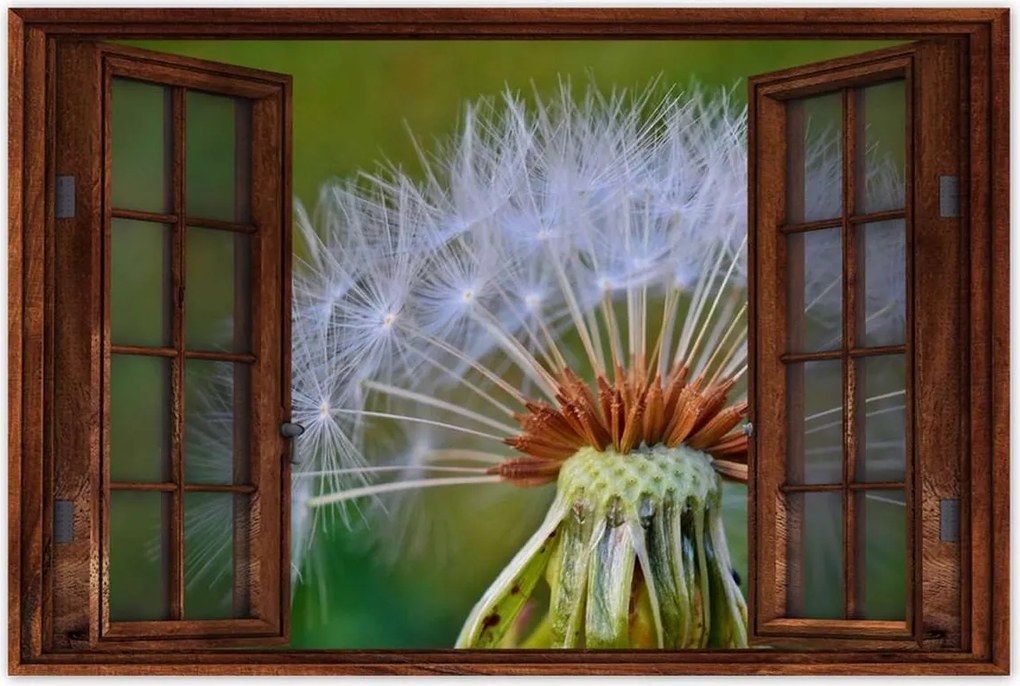 Poszterek 90x60 Pitypang Virág Virágok