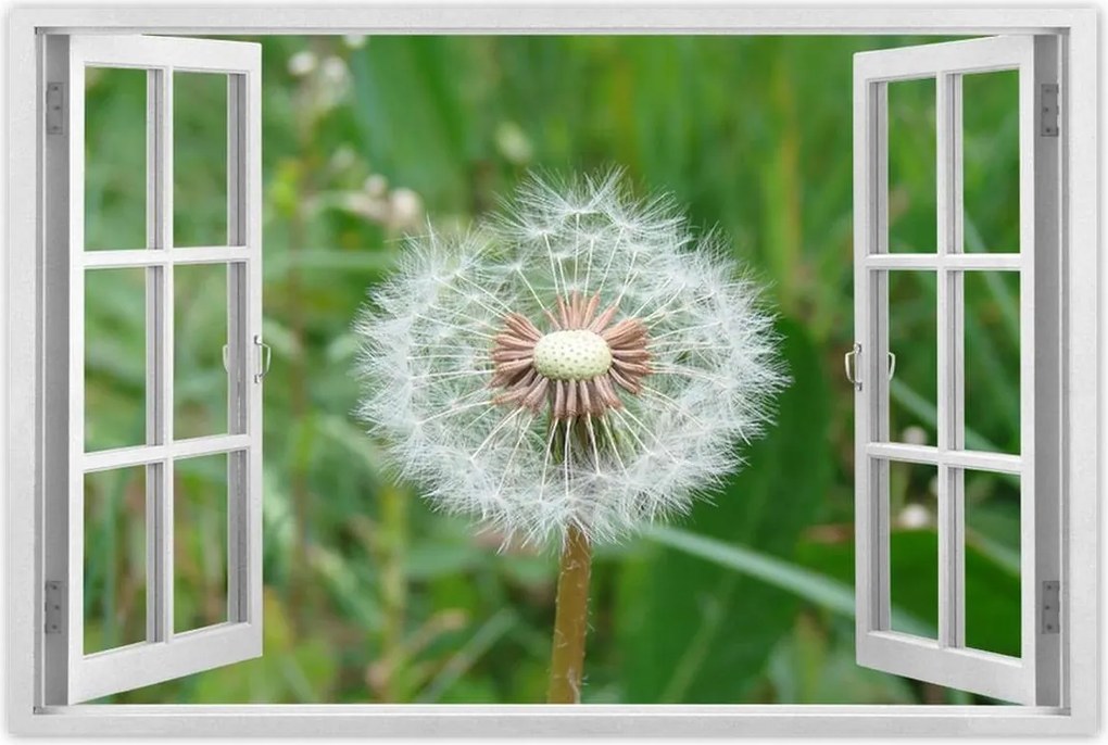 Poszterek 60x40 Pitypang Virág Virágok