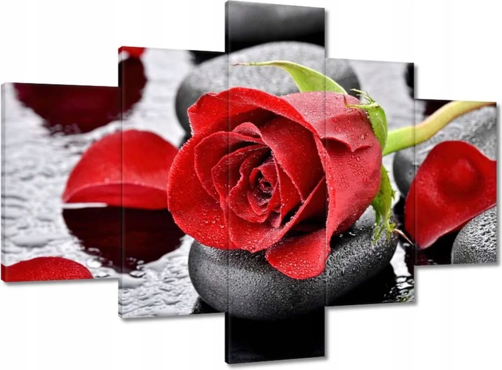 Vászonkép 100x70 Vörös rózsák Kövek