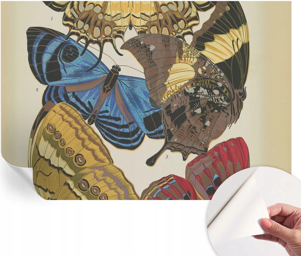 Fotótapéta Fali tapéta Hálószoba és Nappali Pillangók inspiráció 152x104