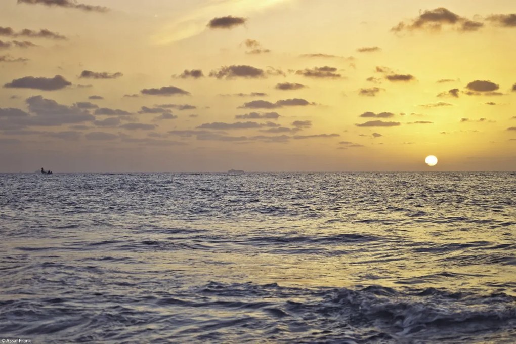 Poszter 30x20cm Naplemente a tengeren 3, Assaf Frank