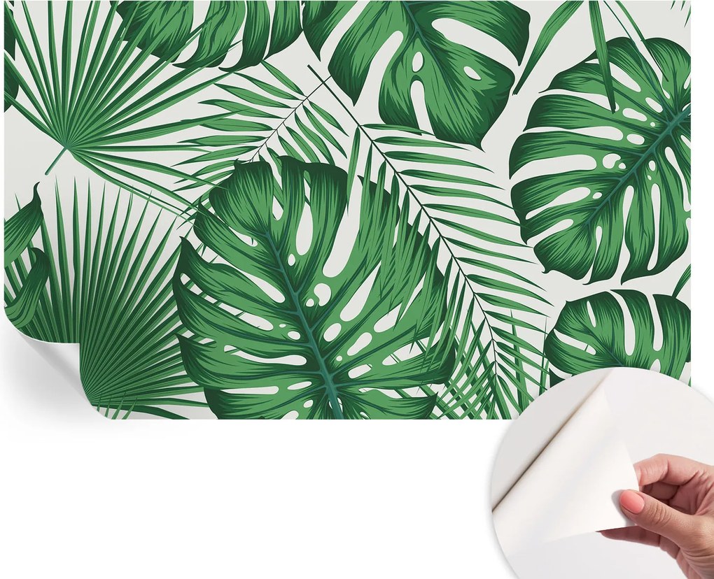 Design fali fotótapéta öntapadós Trópusi levelek 416x254 cm