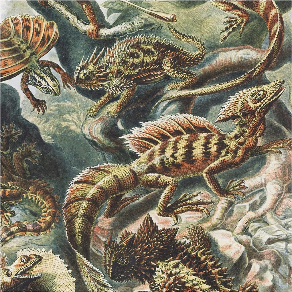 Fotótapéta Fali tapéta Hálószoba Nappali Egzotikus hüllők 250x250 Ragasztó