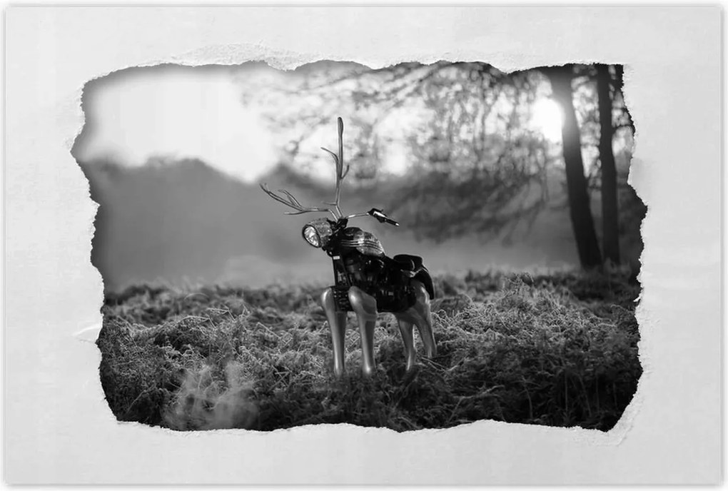 Poszterek 120x80 Szarvas Modern művészet