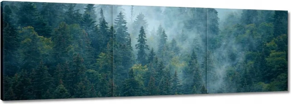 Vászonkép 150x50 Erdő a ködben Utazás