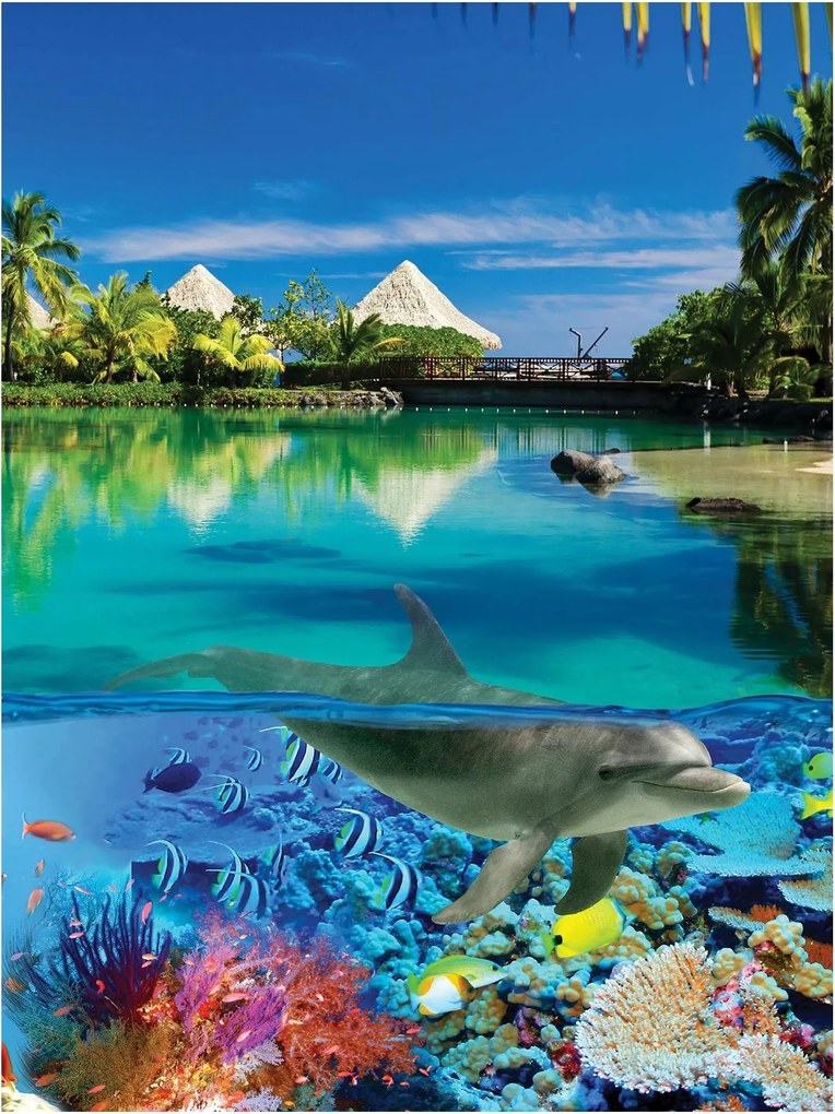 Fotótapéta tenger tengerpart óceán fotótapéta 206 x 275