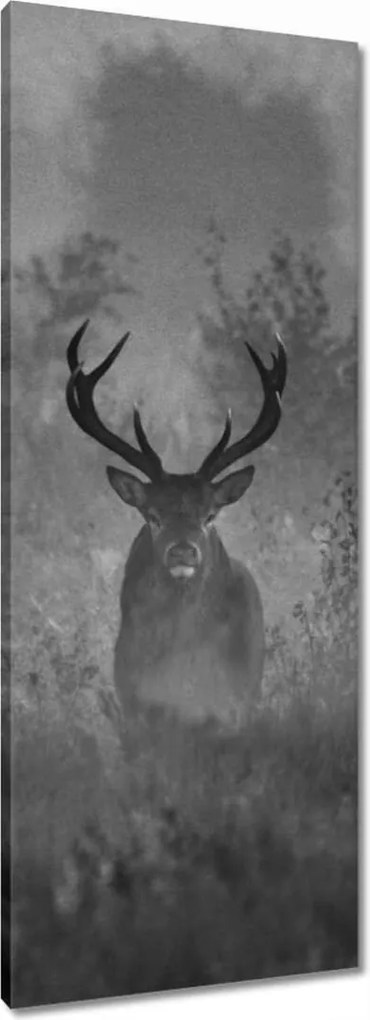 Vászonkép 40x100 Szarvas a ködben