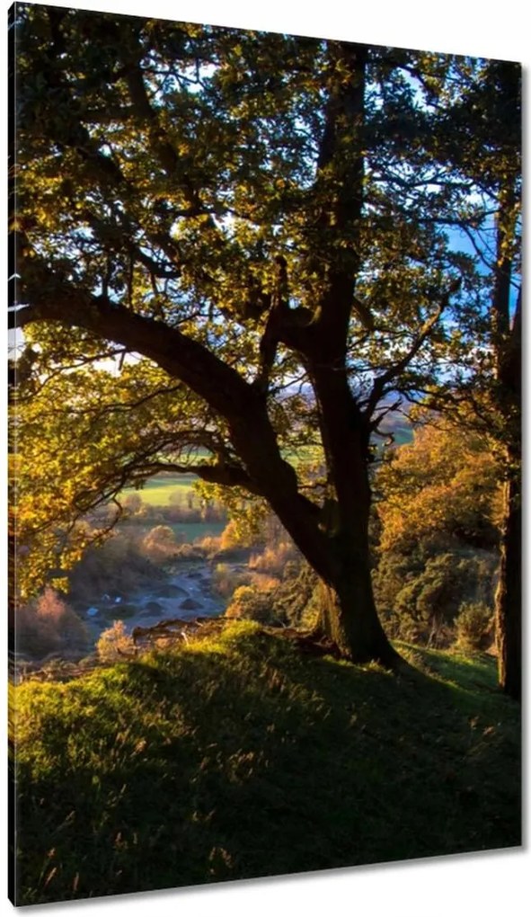 Vászonkép 80x120 Kilátás a völgyre