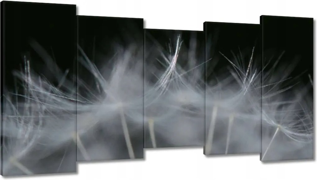 Vászonkép 150x80 Pitypang Virág Virágok