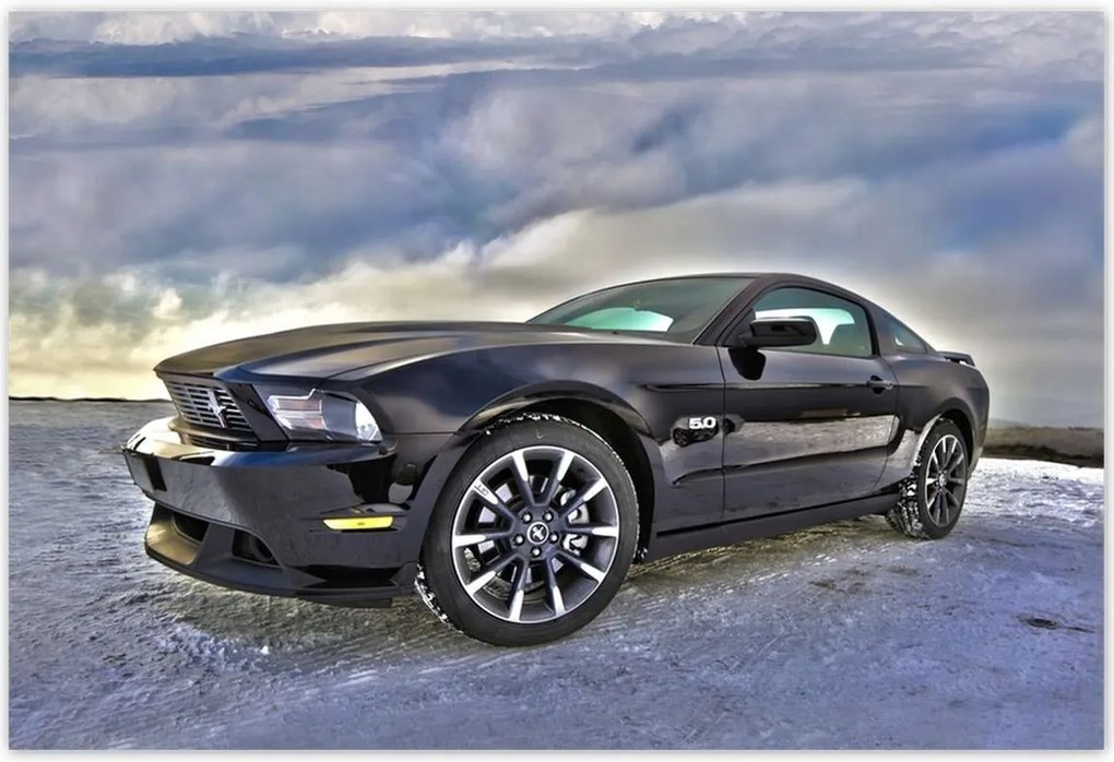Poszterek 185x125 Ford Mustang a hóban Autó Klasszikus Made in Usa