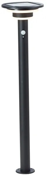 Brilliant - LED Napelemes lámpa érzékelővel GARVINA LED/3W/3,7V 85 cm IP44 fekete