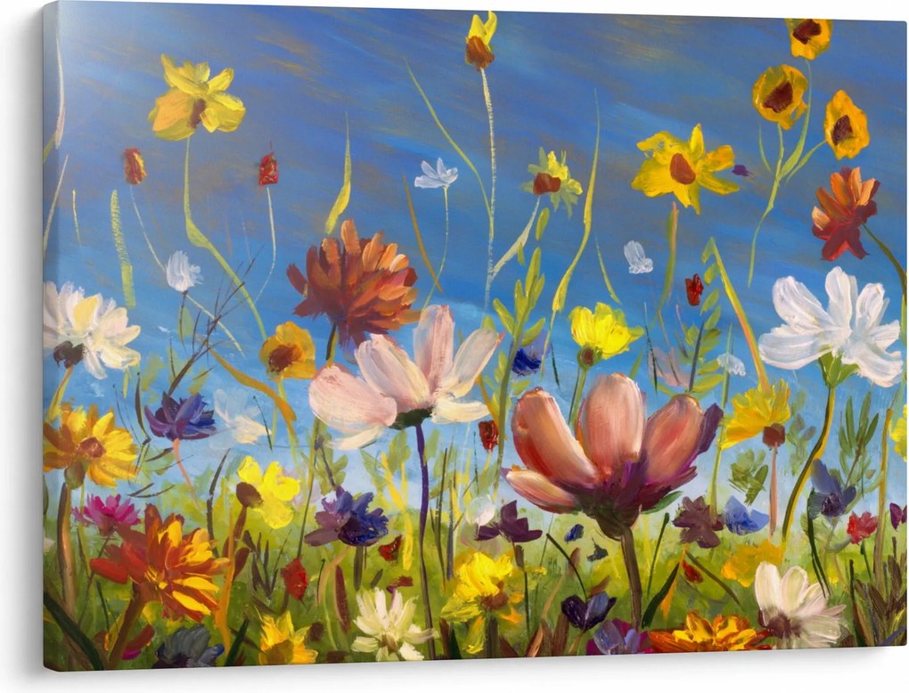 Festett kép egy virágzó rét (70x50 cm)