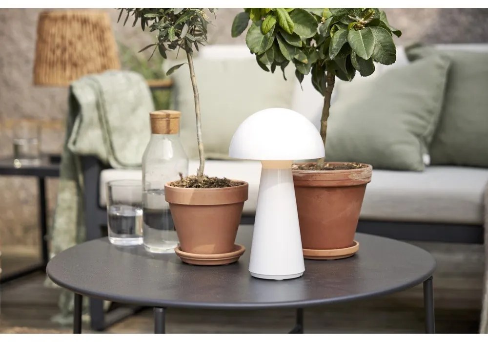 Fehér LED szabályozható asztali lámpa (magasság 28 cm) Mushroom – Star Trading