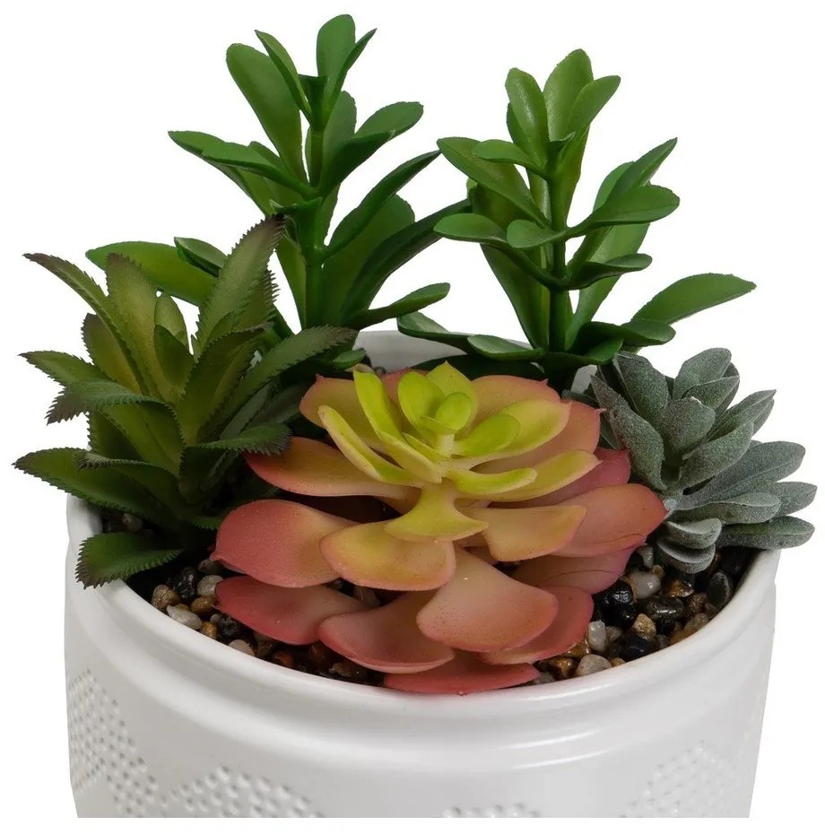 Műnövény szett 2 db-os (magasság 19 cm) Cactus – Casa Selección