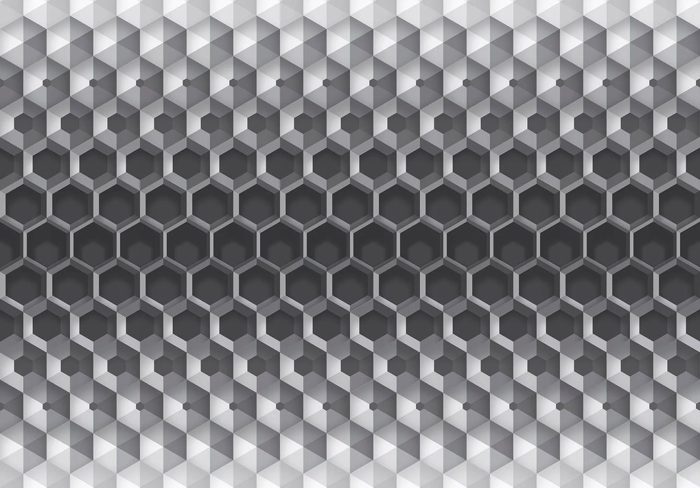 Fotótapéta Hexagon Térfogat Stílus Geometrikus méhsejt 254x184 +ragasztó