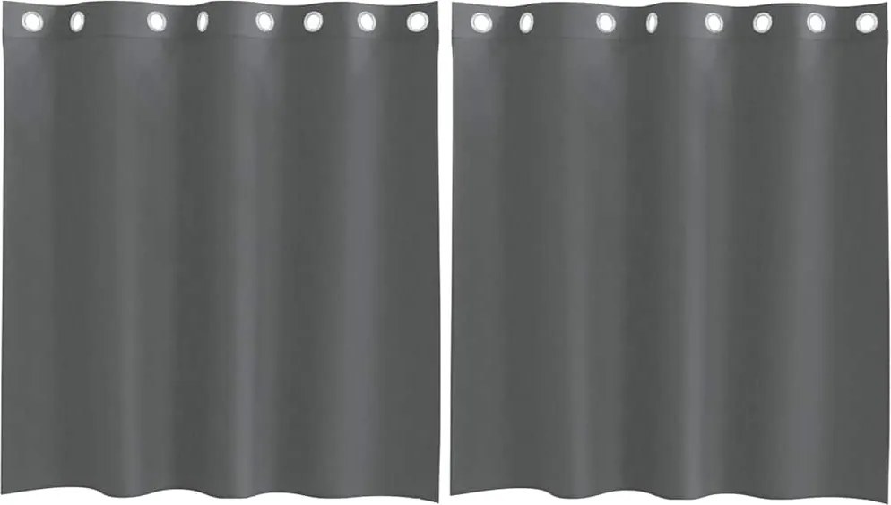 vidaXL 2 db sötétszürke fátyolfüggönyök rojtokkal 140x140 cm