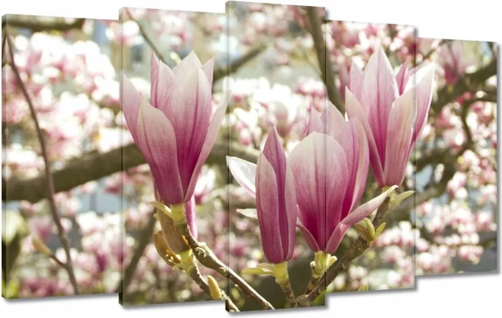 Festmények 100x60 Magnólia