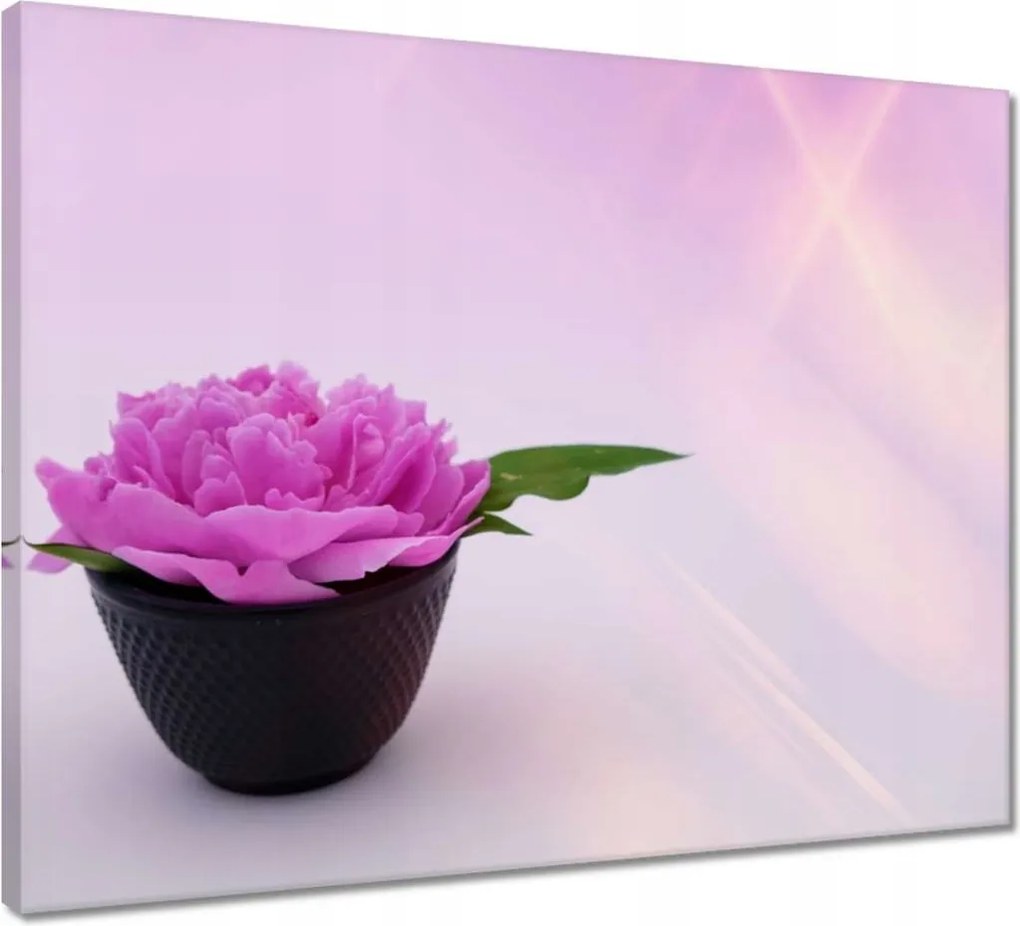 Vászonkép 50x40 Spa Wellness Virág