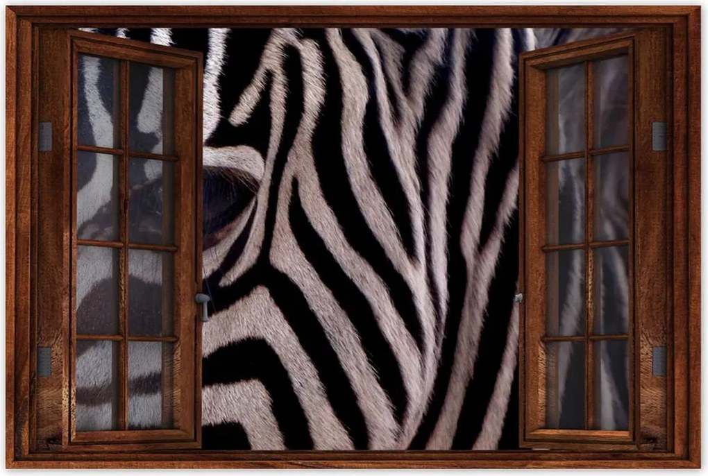 Poszterek 120x80 Makro fotó zebra