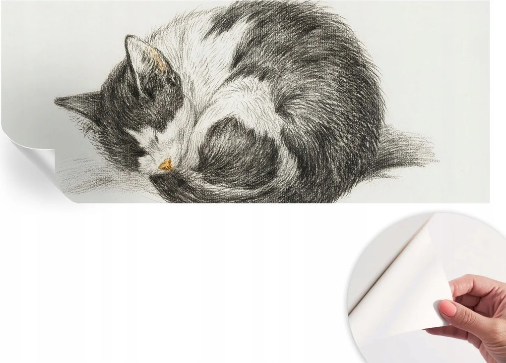 Öntapadós Dekoratív Fotótapéta Hálószobába Bájos cica 250x104 cm