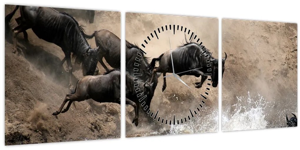 Kép - Gnúcsorda (órával) (90x30 cm)