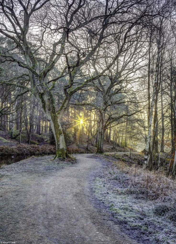 Poszter 20,5x28,4cm Vidéki csatorna fákkal és ösvényrel, Assaf Frank