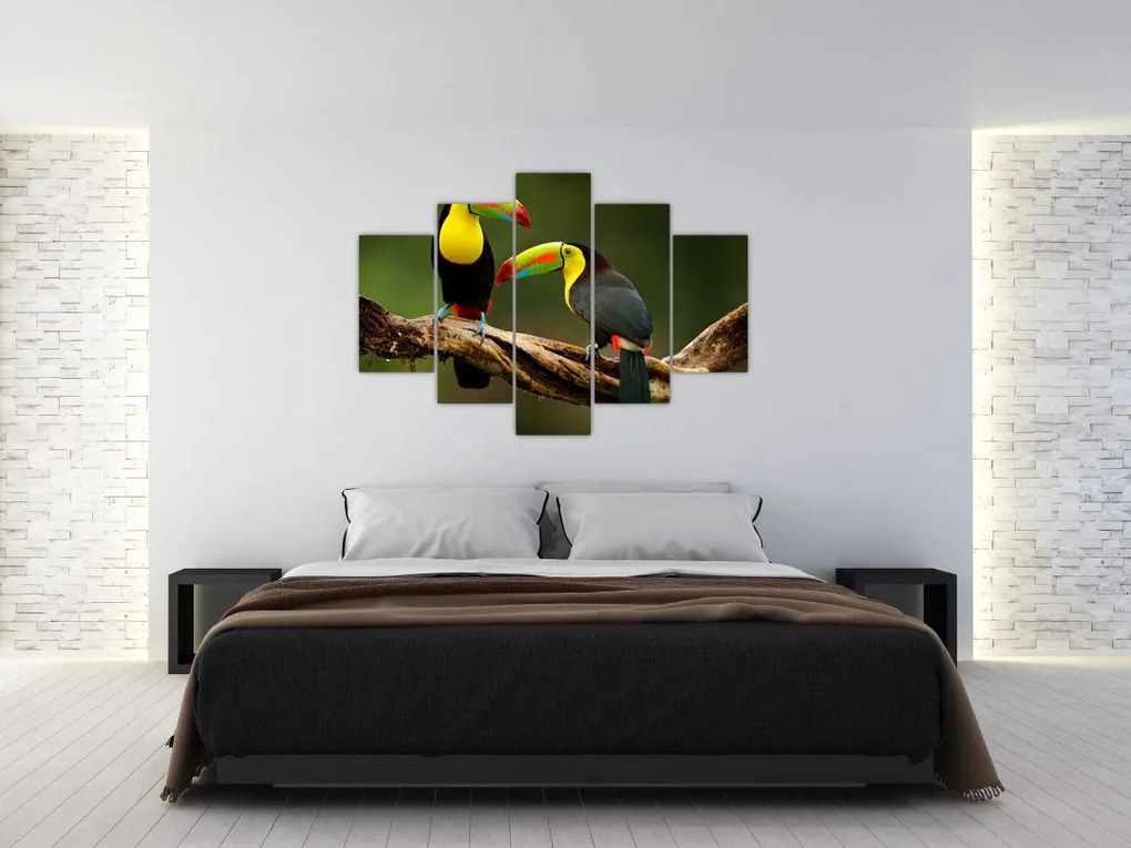 Ülő tukánok képe, Costa Rica (150x105 cm)