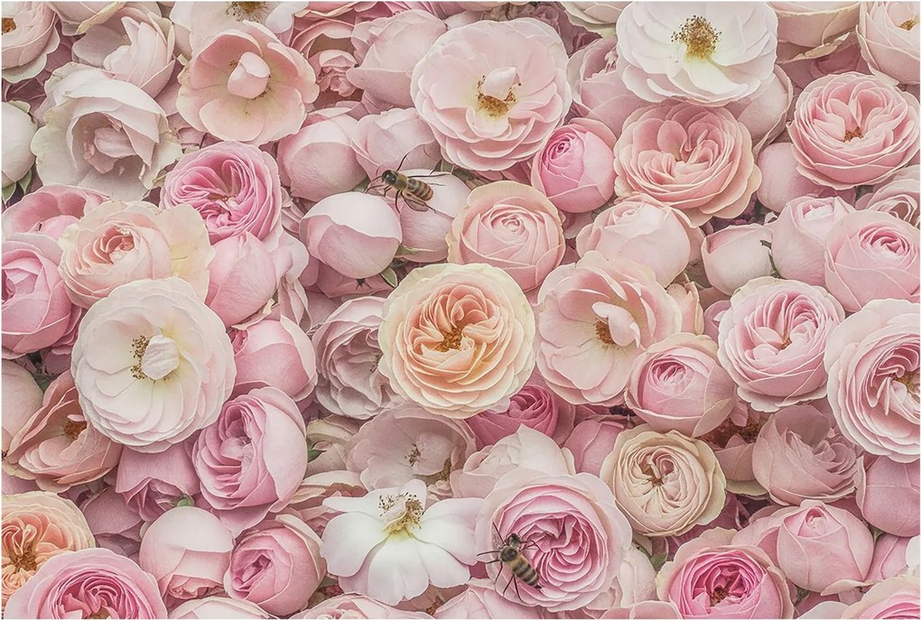 Dekoratív Fotótapéta Hálószobába Gyönyörű virágok 104x70 Ragasztó