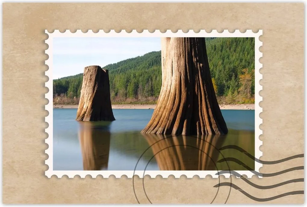 Poszterek 120x80 Fatörzsek a folyóban Hegyek