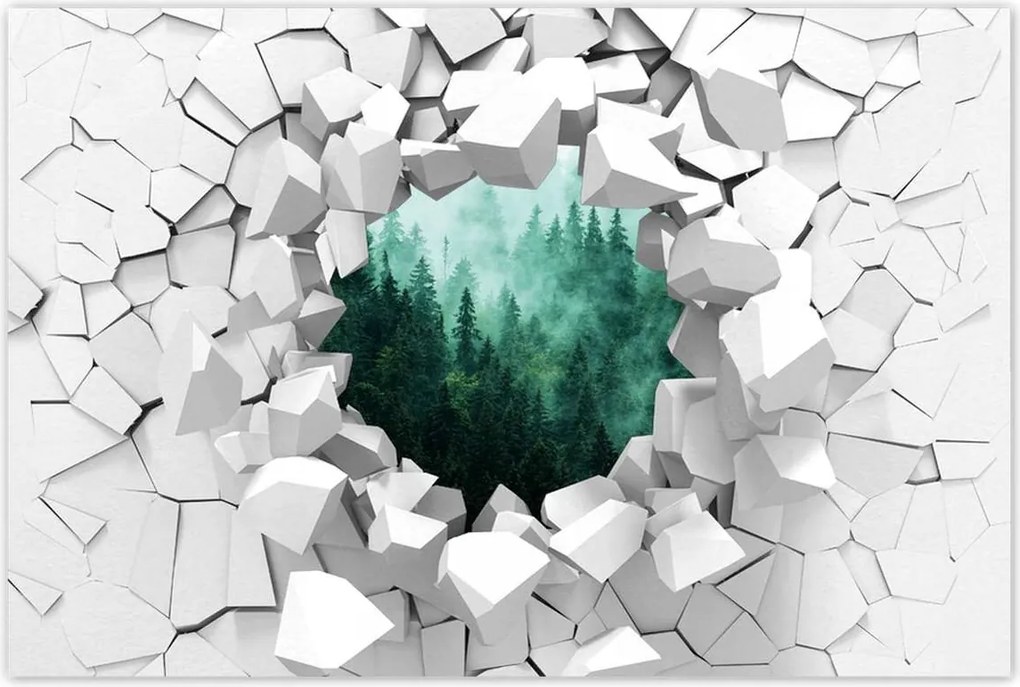 Poszterek 120x80 Erdő Köd Tájkép Utazás