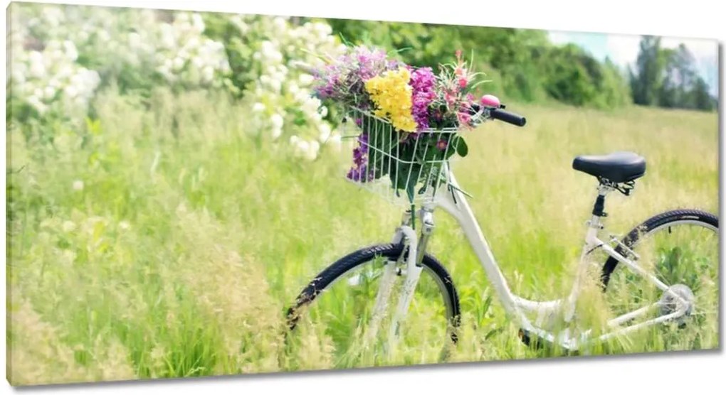 Vászonkép 115x55 Nő virágokkal