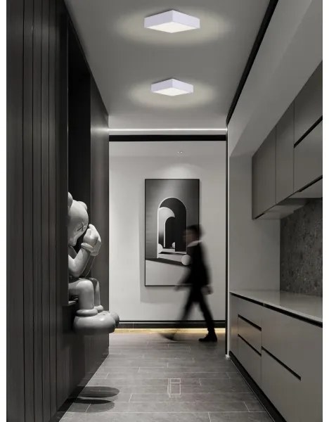 Immax NEO 07238L - LED dimmelhető mennyezeti lámpa CANTO 22W/230V fehér Tuya + t