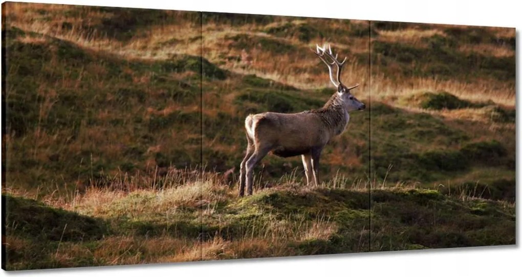 Festmények 180x90 Szarvas a természetben Vadászat