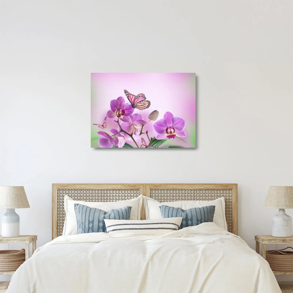Üveg kép - Pillangó orchidea virágon, lila (70x50 cm)