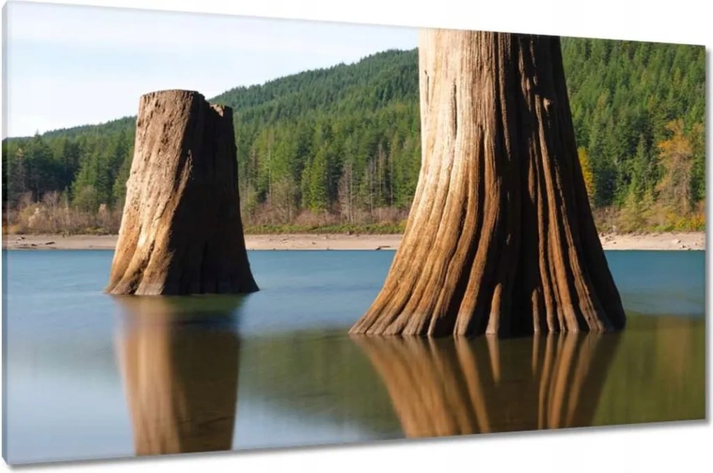 Vászonkép 120x70 Fatörzsek a folyóban Hegyek