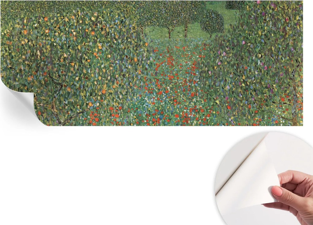 Öntapadós Dekoratív Fotótapéta Hálószobába Virágos rét 250x104 cm