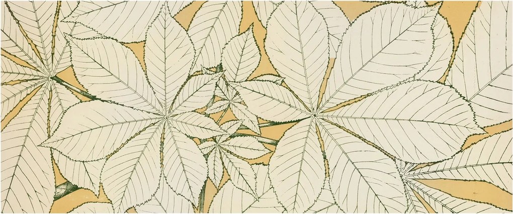 Flizelin fotótapéta Flizelin Design Gesztenye levelek 250x104